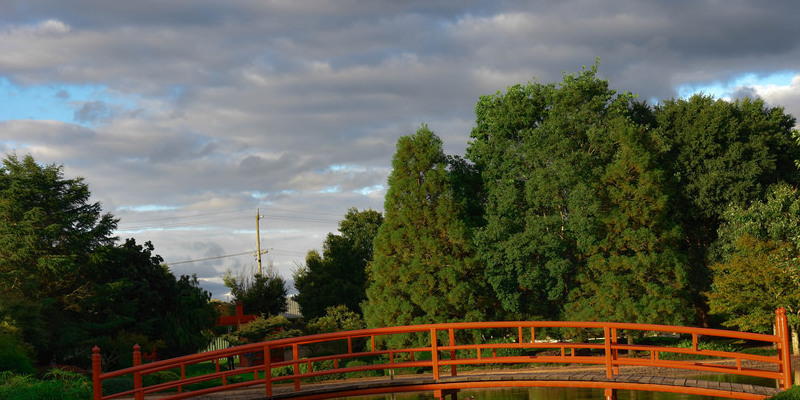 Flowers of the Garden for the Westside